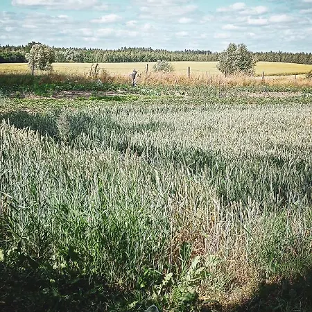 Kruklinska - Na Mazurach Kruklin