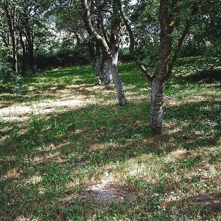 Kruklinska - Na Mazurach Holiday home